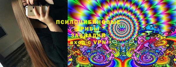 дживик Нея