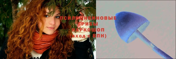 дживик Нея