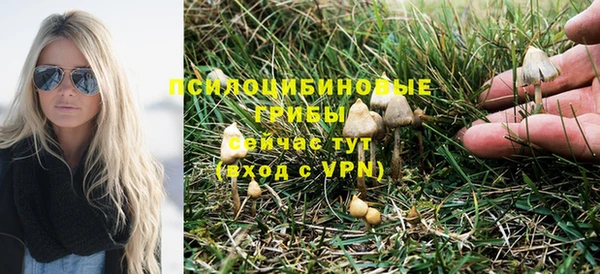 дживик Нея