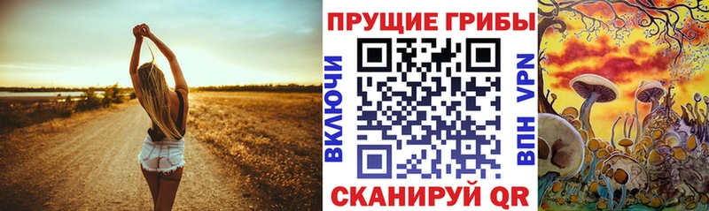 хочу   гидра   площадка Telegram  Дербент  Галлюциногенные грибы MAGIC MUSHROOMS 