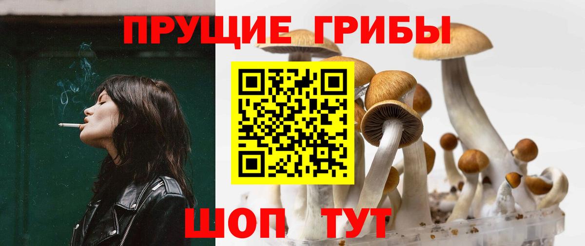 Дербент  Галлюциногенные грибы Psilocybine cubensis  Вход с VPN 